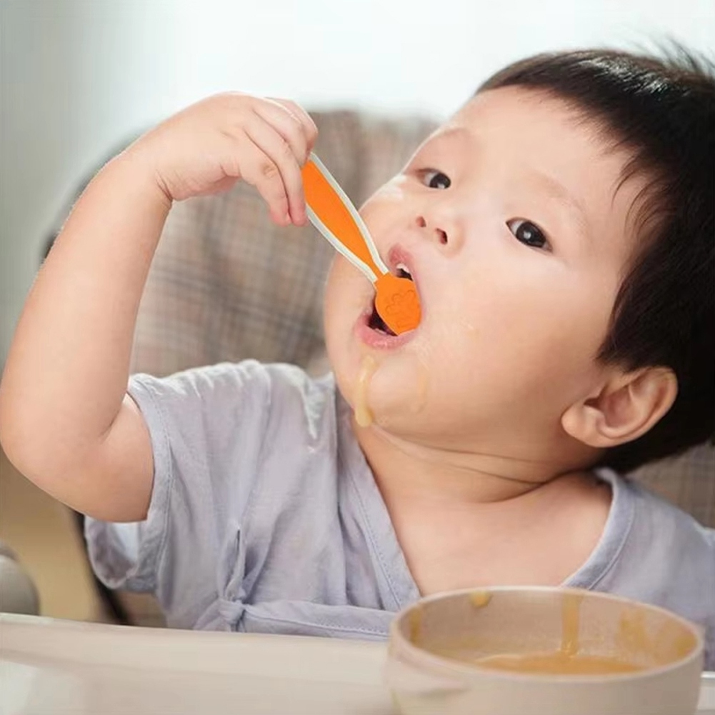 Set di cucchiai per l'autosvez - Baby Food For 6 Months recensione e prezzo